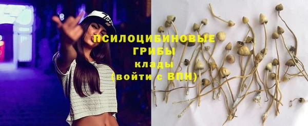 дмт Алексеевка