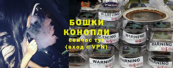 индика Корсаков