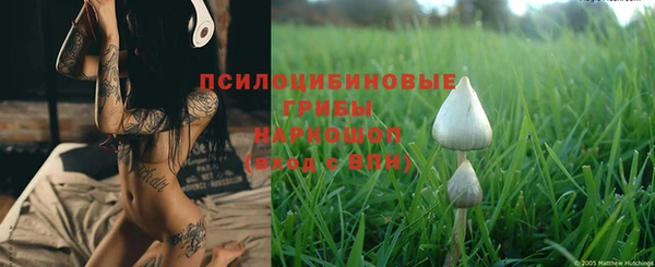 дмт Алексеевка