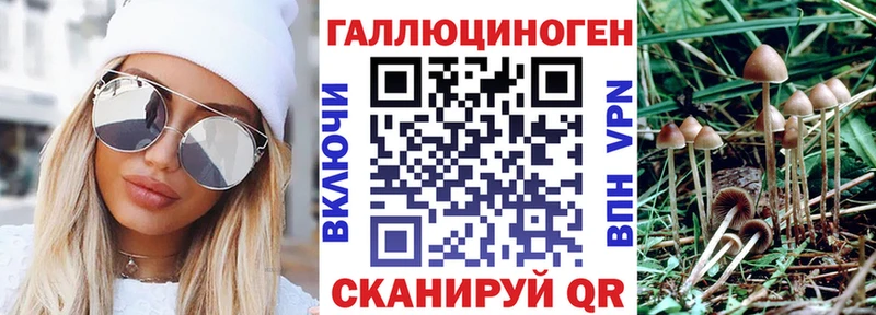 сайты даркнета телеграм  Жигулёвск  Псилоцибиновые грибы Cubensis 